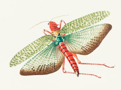 I. Packing an Emergency&nbsp;Kit